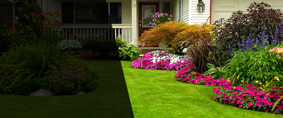 Hillside Landscapers